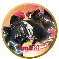 km888